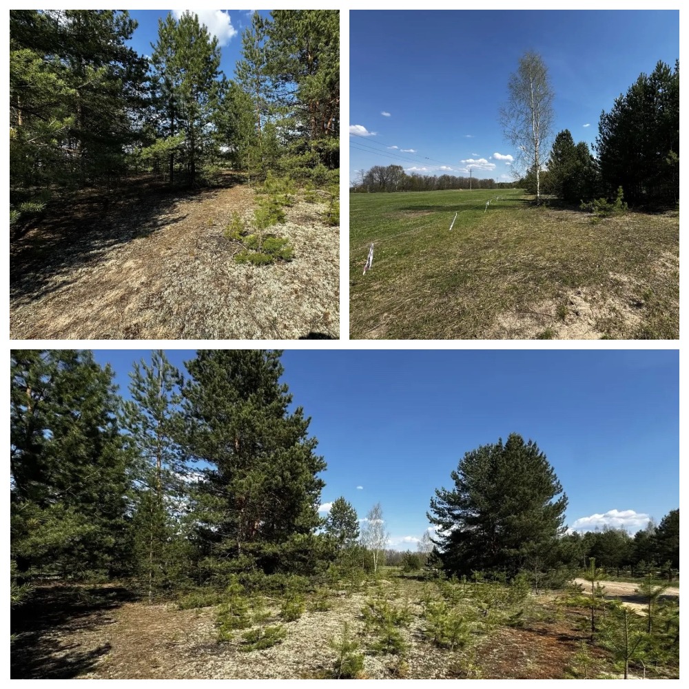 This image for Image Layouts addon